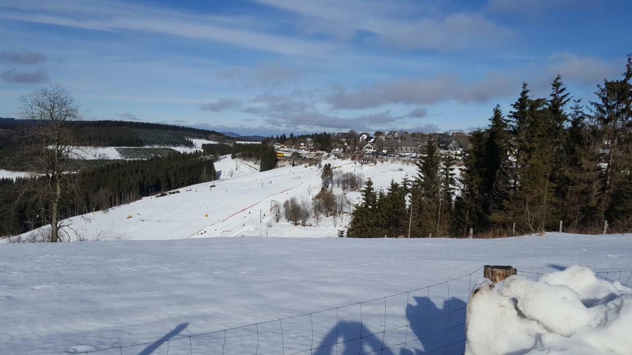 Ferienhaus Bergidylle Winterberg Extérieur photo