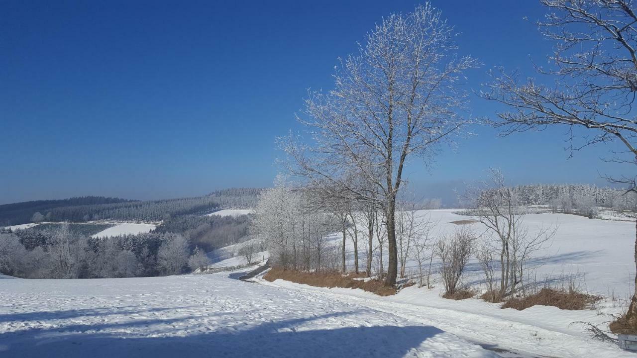 Ferienhaus Bergidylle Winterberg Extérieur photo