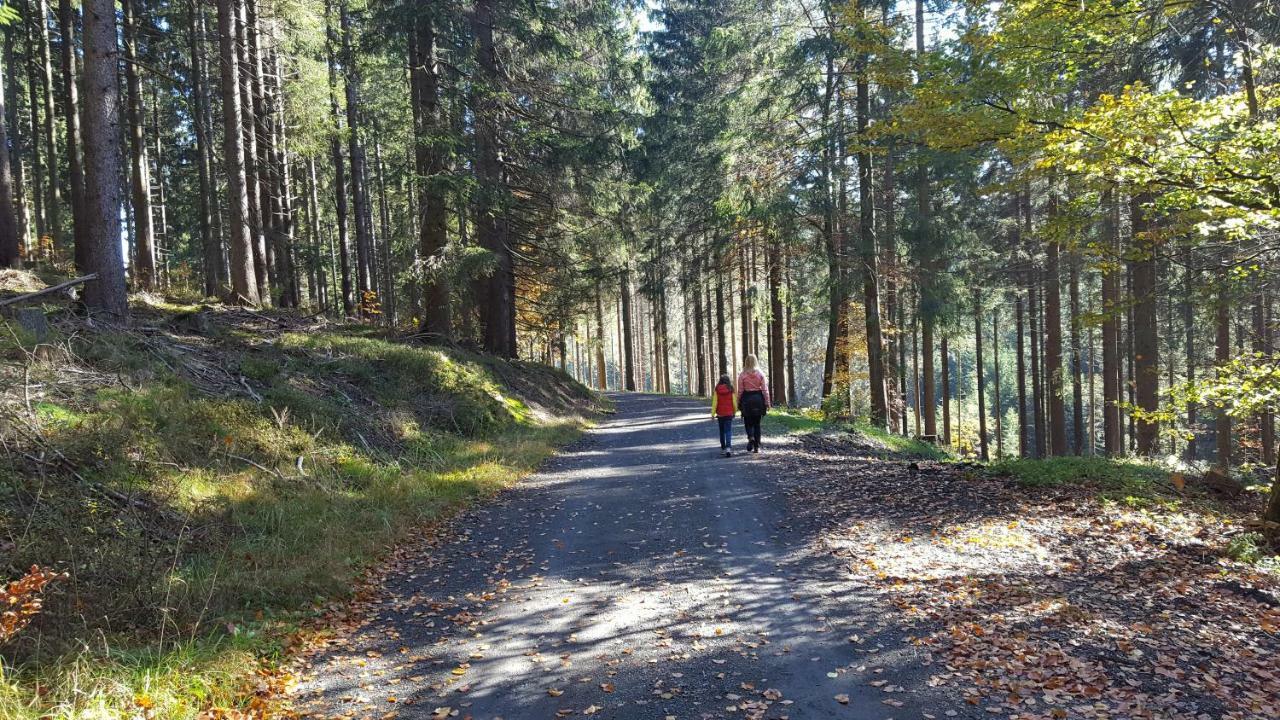 Ferienhaus Bergidylle Winterberg Extérieur photo