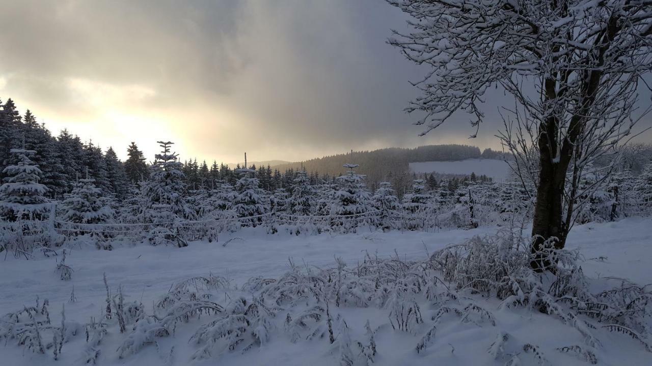 Ferienhaus Bergidylle Winterberg Extérieur photo