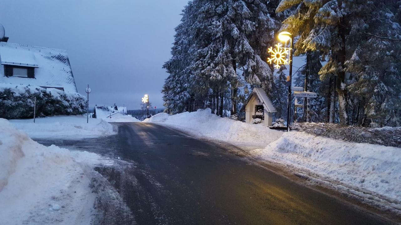 Ferienhaus Bergidylle Winterberg Extérieur photo